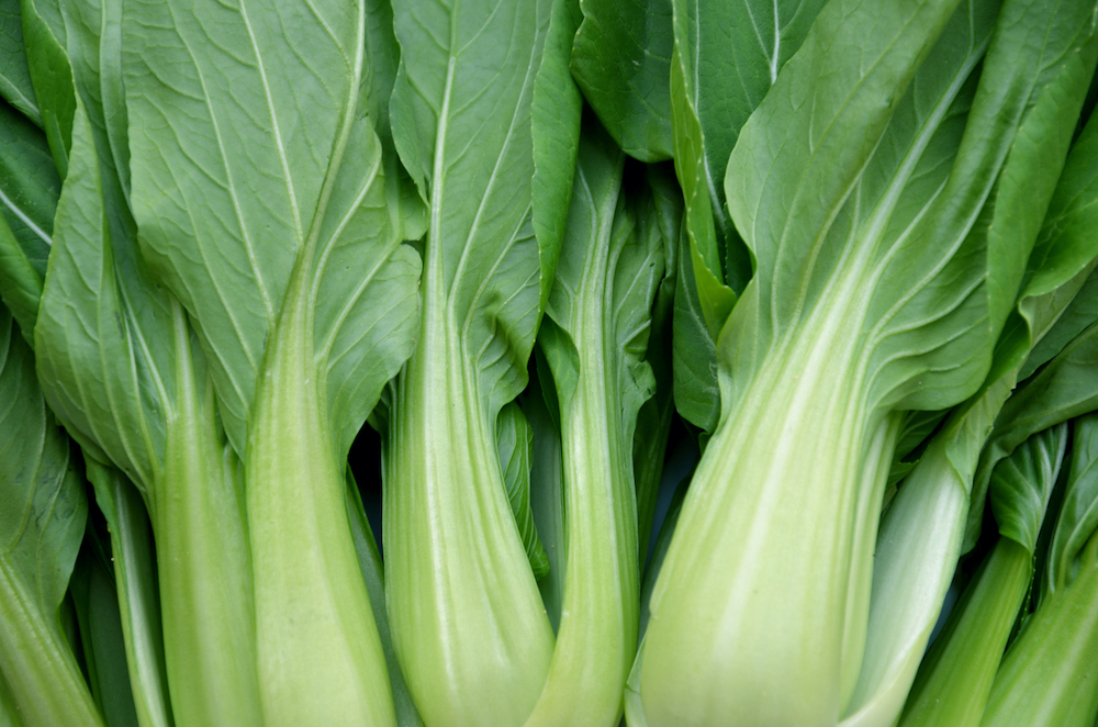 Bok Choy